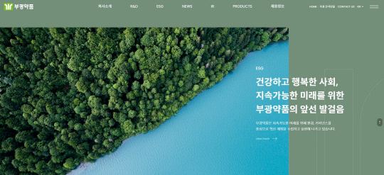 부광약품 홈페이지. 부광약품 제공.